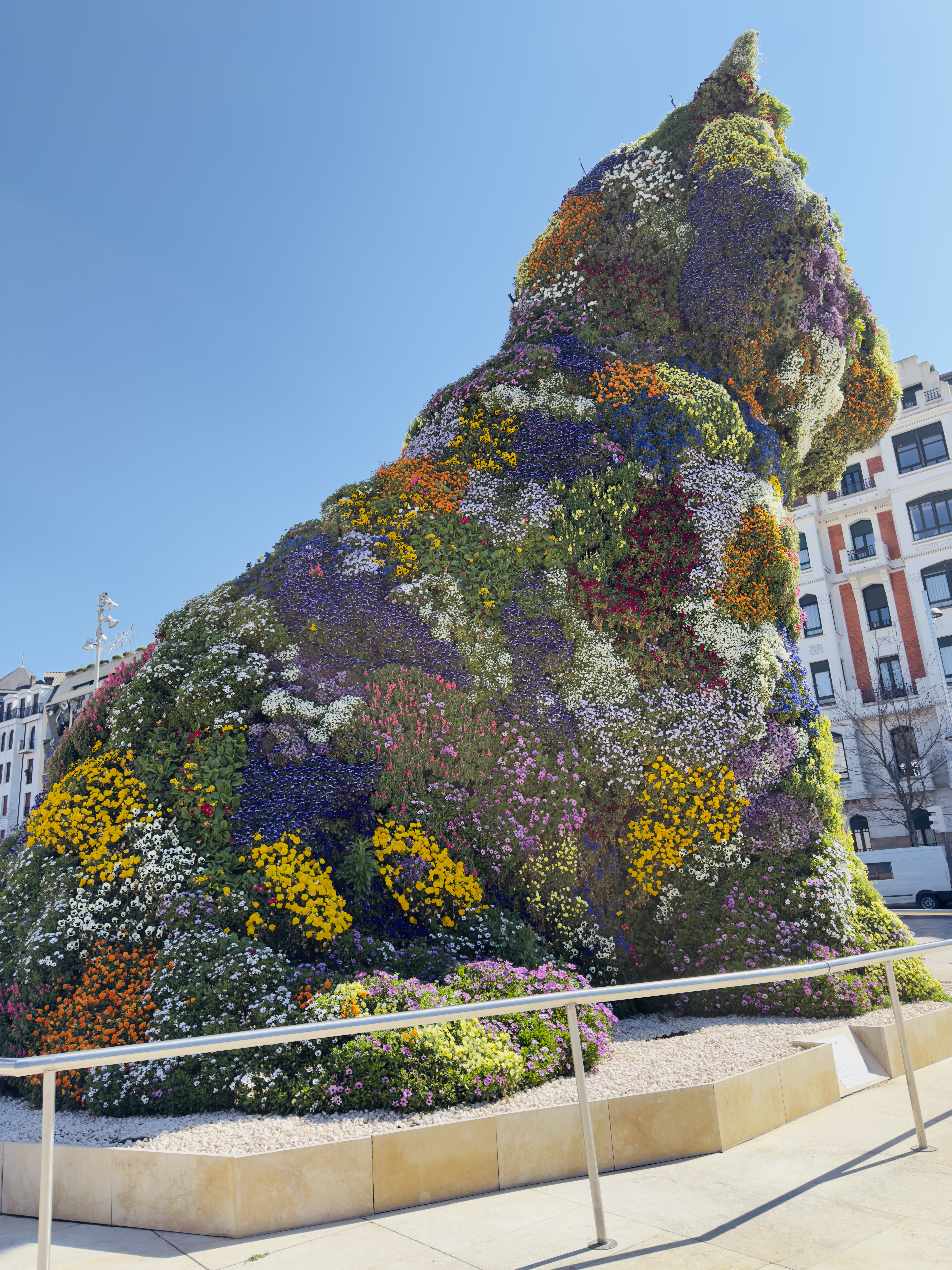 Puppy flower.jpg